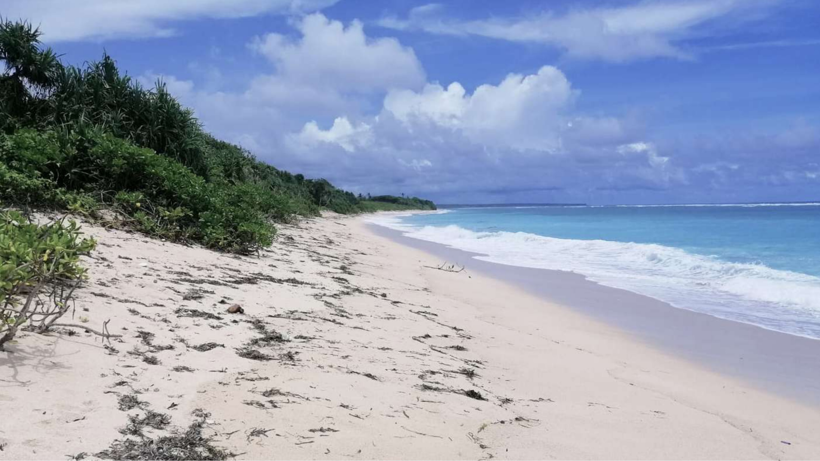 Kodi Beach Land Plot For Sale